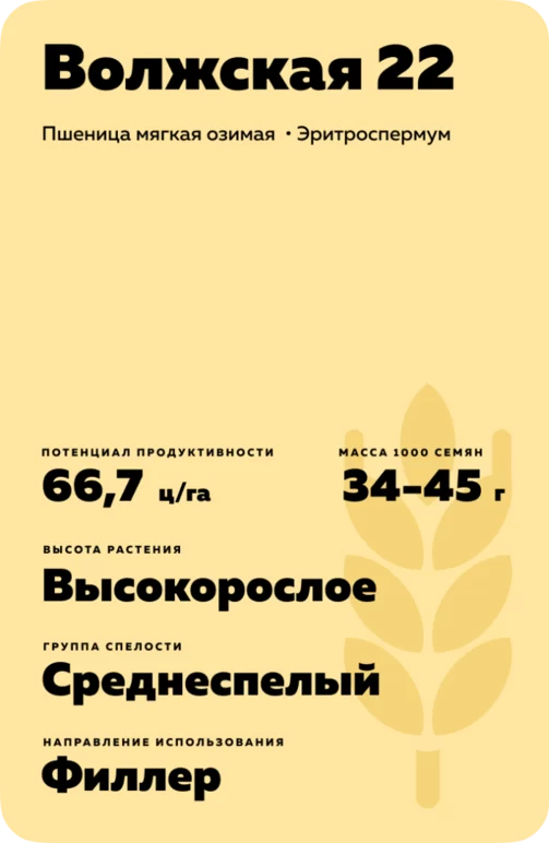 Волжская 22