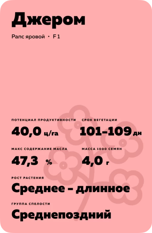 Джером (JEROME) рапс яровой