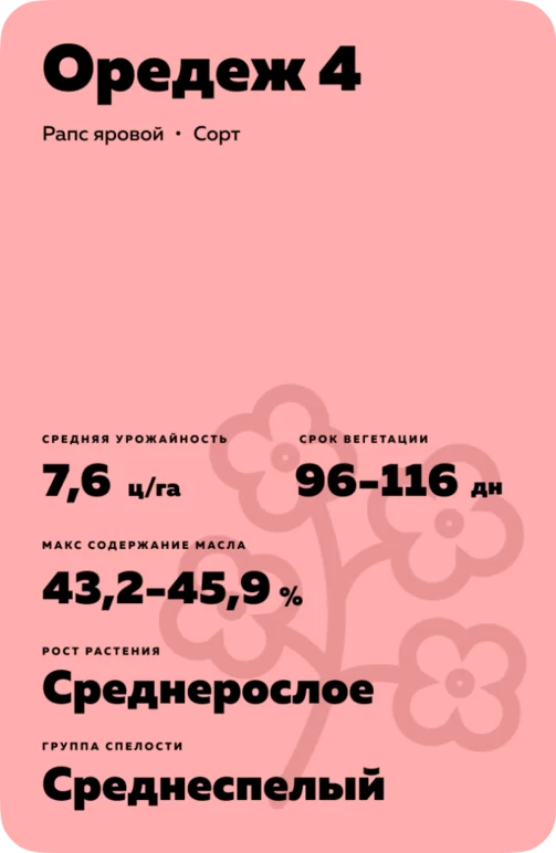Оредеж 4