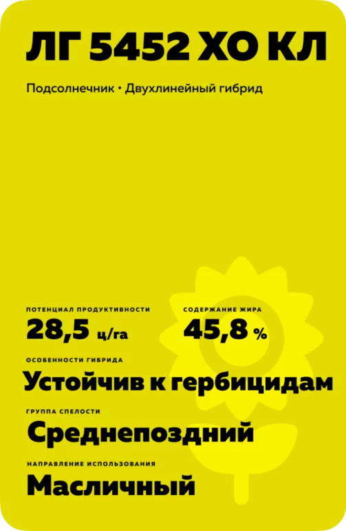 ЛГ 5452 ХО КЛ подсолнечник