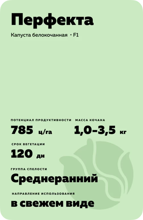 Перфекта F1 (PERFECTA)