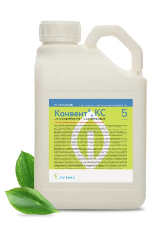 Конвент, КС