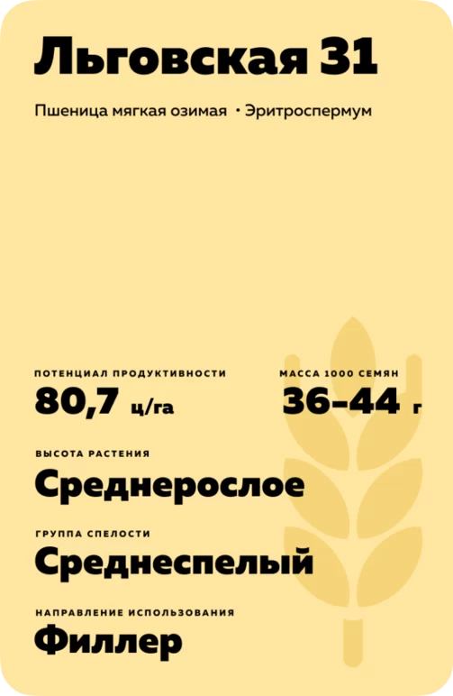 Льговская 31