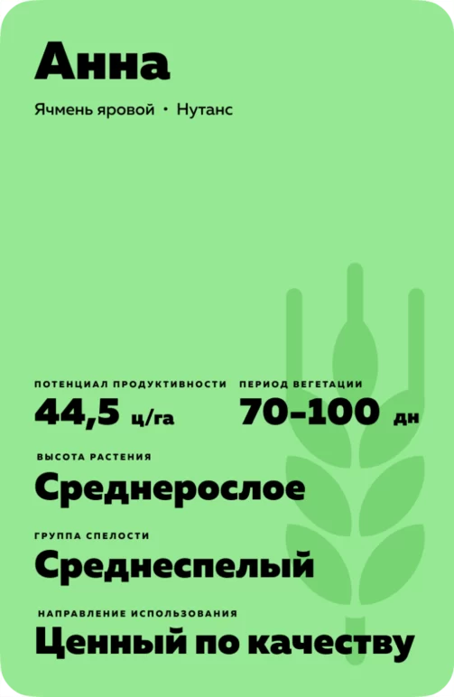 Анна сорт ячменя ярового