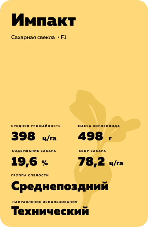 Импакт