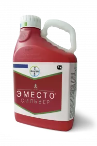 Эместо Сильвер, КС