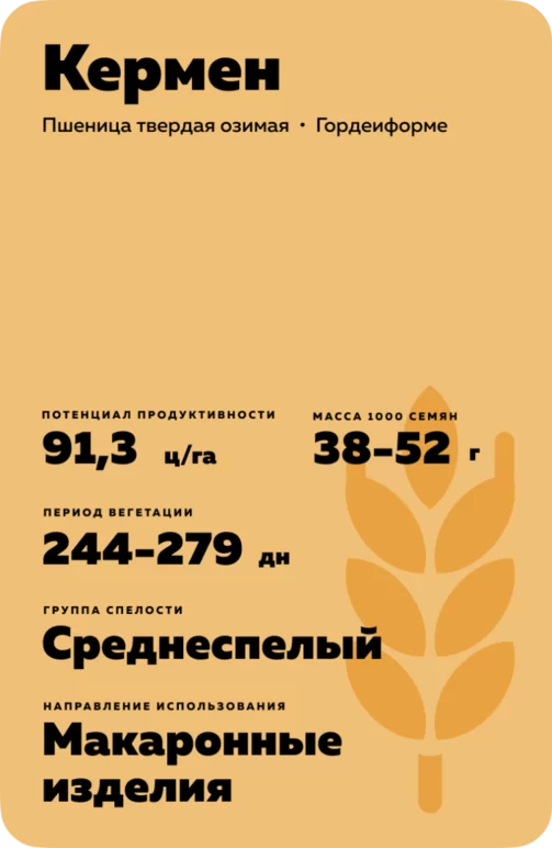 Кермен