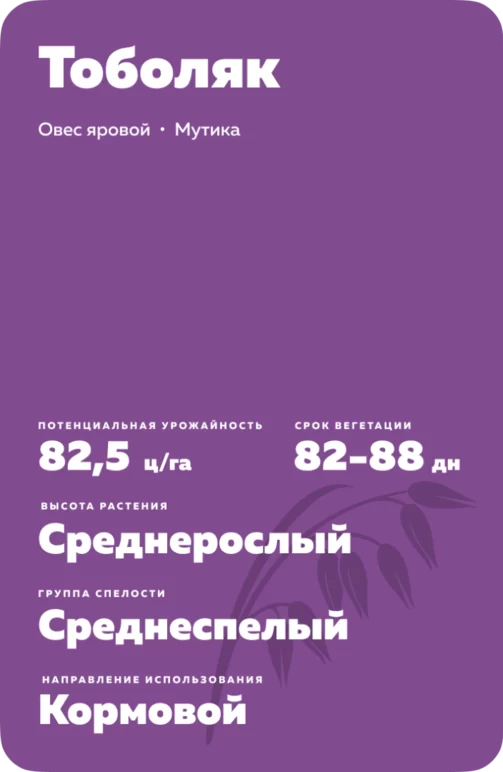 Тоболяк сорт овса ярового