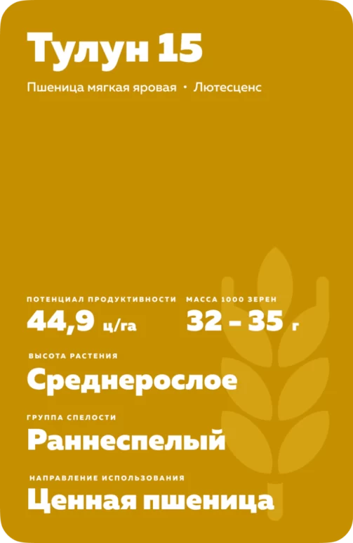 Тулун 15
