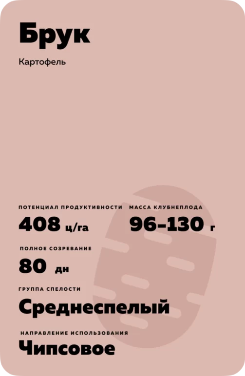 Брук