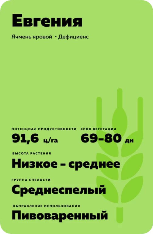 Евгения (EVGENIA) сорт ярового ячменя