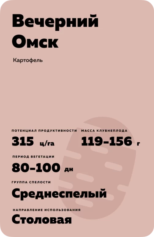 Вечерний Омск