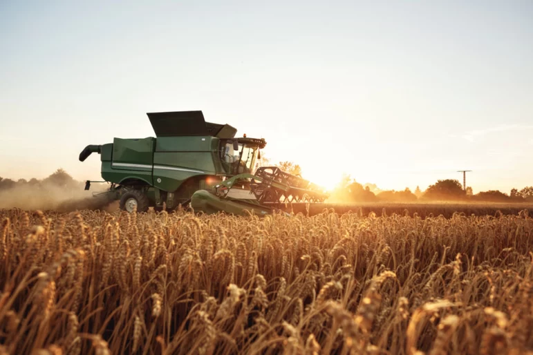 Экспортная пошлина на пшеницу снизится с 12 октября до 1 926,8 руб/т