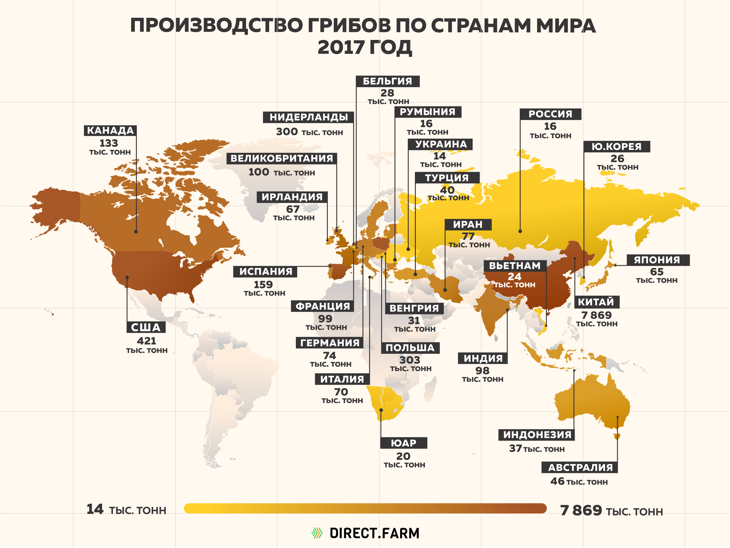 Отрасли в каких странах. Производство грибов по странам мира. Производство грибов в мире. Страны Лидеры по производству грибов 2021. Крупнейшие производители грибов.