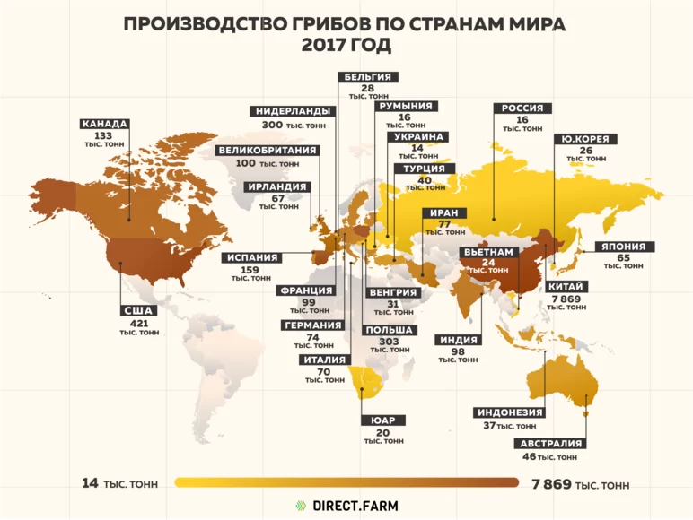 Страны-лидеры по производству грибов в 2017 году