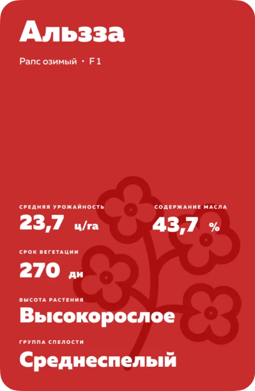 Альзза (ALZZA) рапс озимый