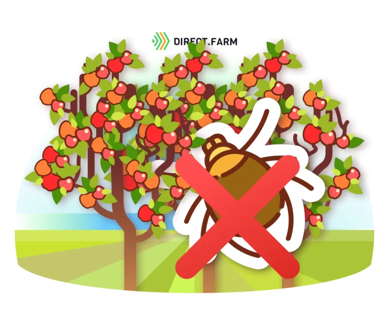 Как защитить яблоню от клещей? 