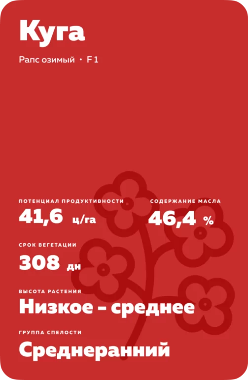 Куга (KUGA) гибрид рапс озимого