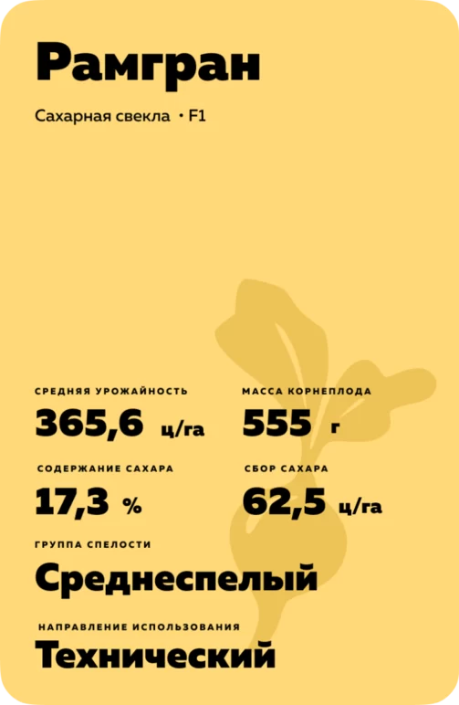 Рамгран гибрид сахарной свеклы