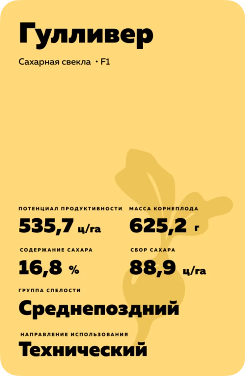 Гулливер - гибрид свеклы сахарной