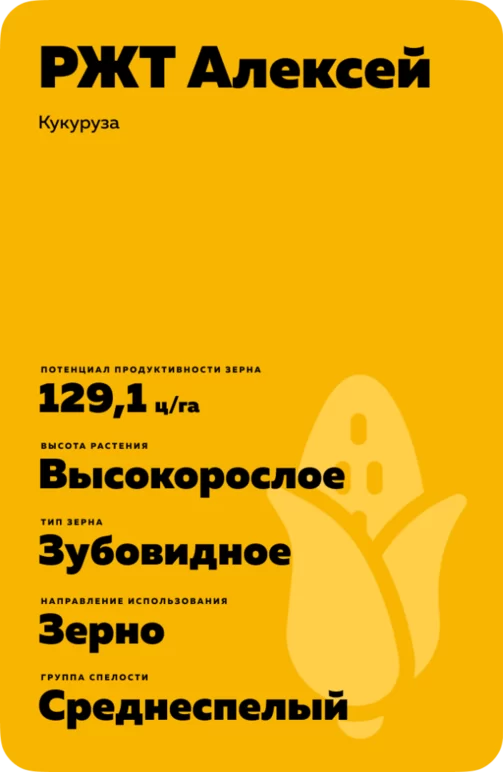 РЖТ Алексей гибрид кукурузы