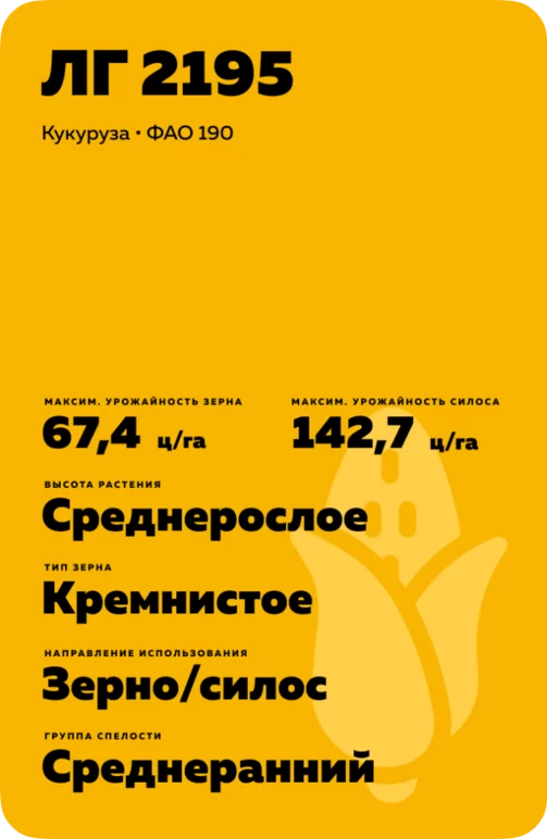 ЛГ 2195 гибрид кукурузы Лимагрейн