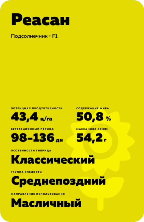 Реасан (REASUN)