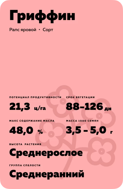 Гриффин ®  (GRIFFIN) сорт рапса ярового