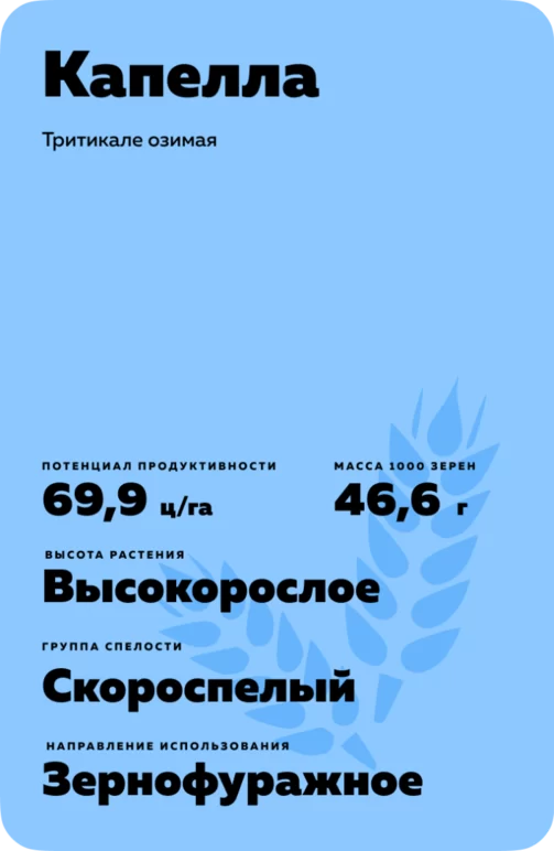 Капелла