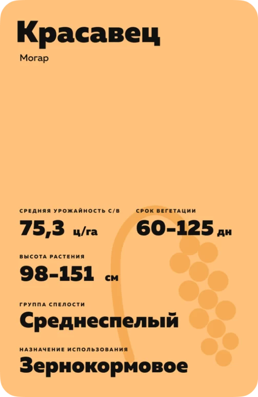 Красавец